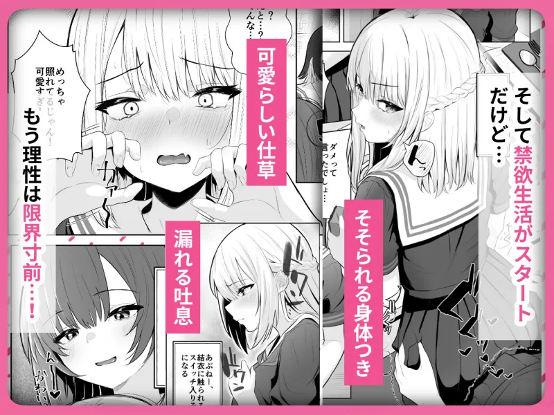 TSお兄ちゃん～フタナリ妹とのエッチ禁止を誓ったのに我慢できずに襲いにくる話～