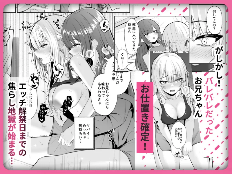 TSお兄ちゃん～フタナリ妹とのエッチ禁止を誓ったのに我慢できずに襲いにくる話～