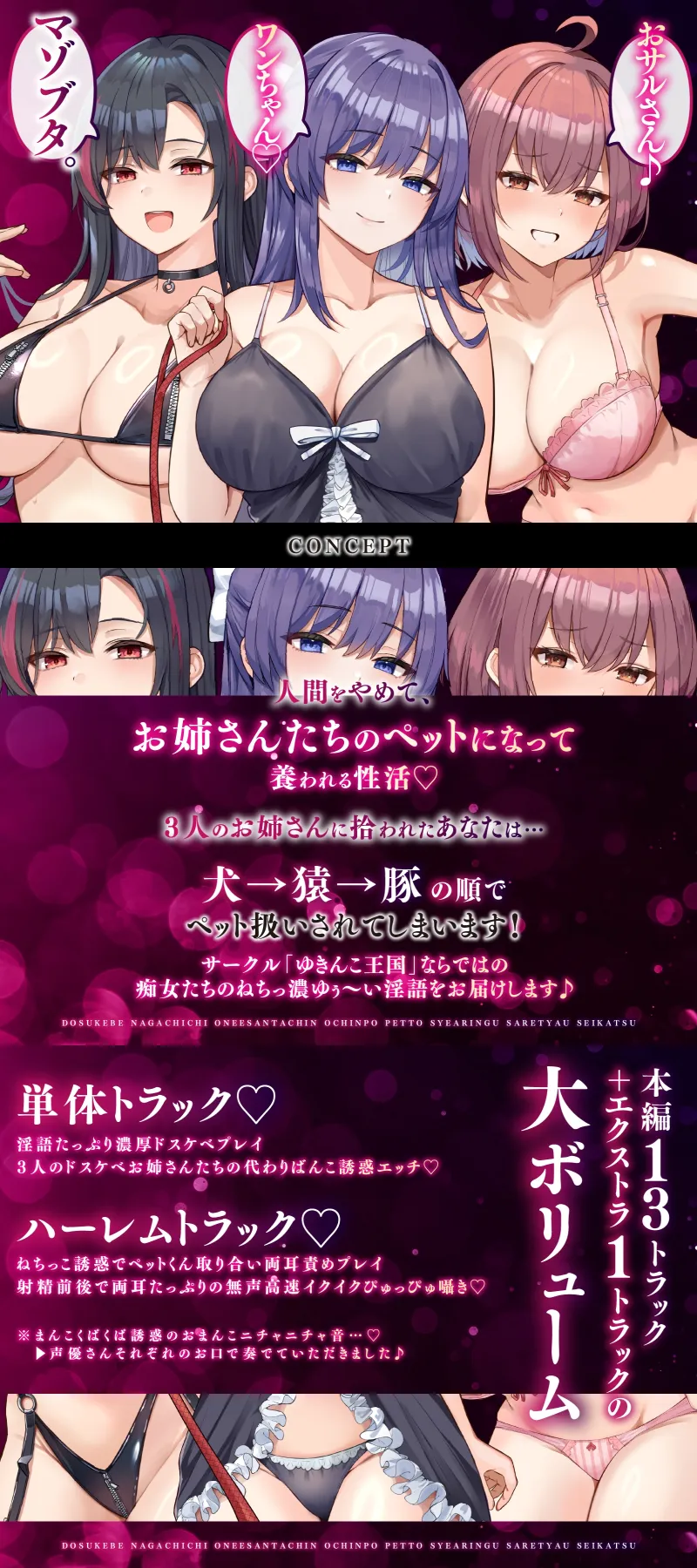本文説明画像