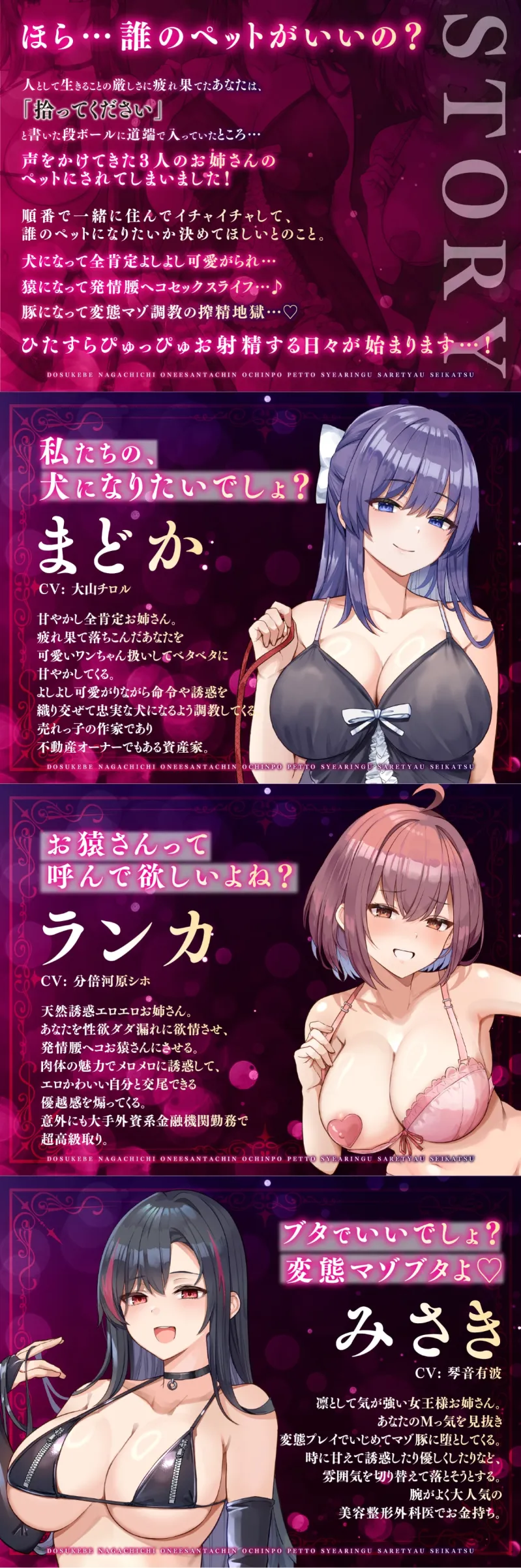 本文説明画像