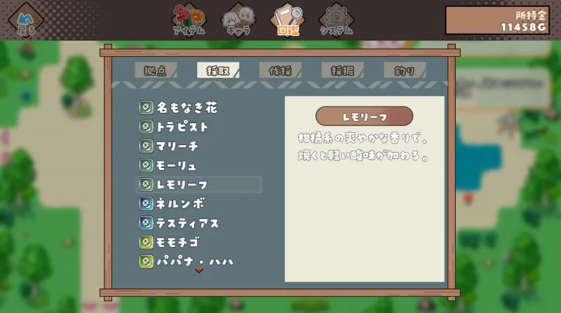 本文説明画像