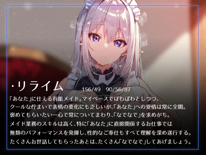 本文説明画像