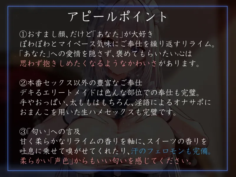 本文説明画像