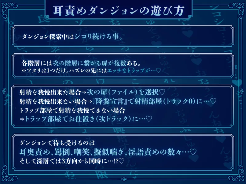 本文説明画像