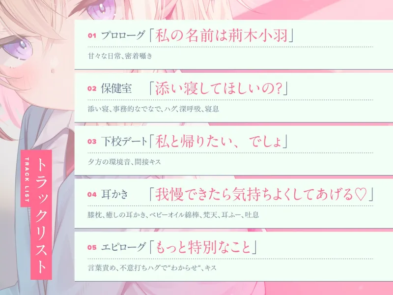 本文説明画像
