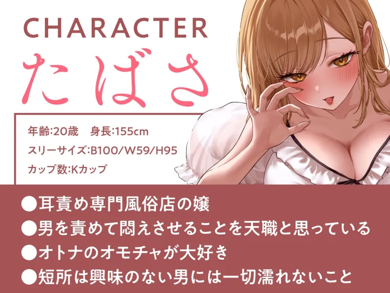 本文説明画像