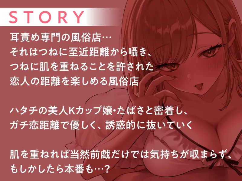 本文説明画像