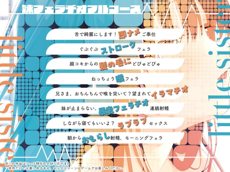 本文説明画像
