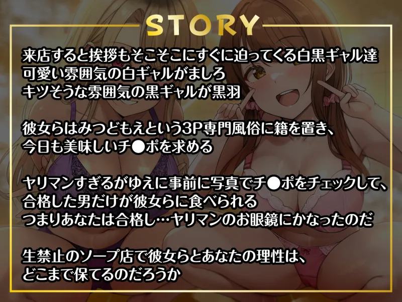 本文説明画像