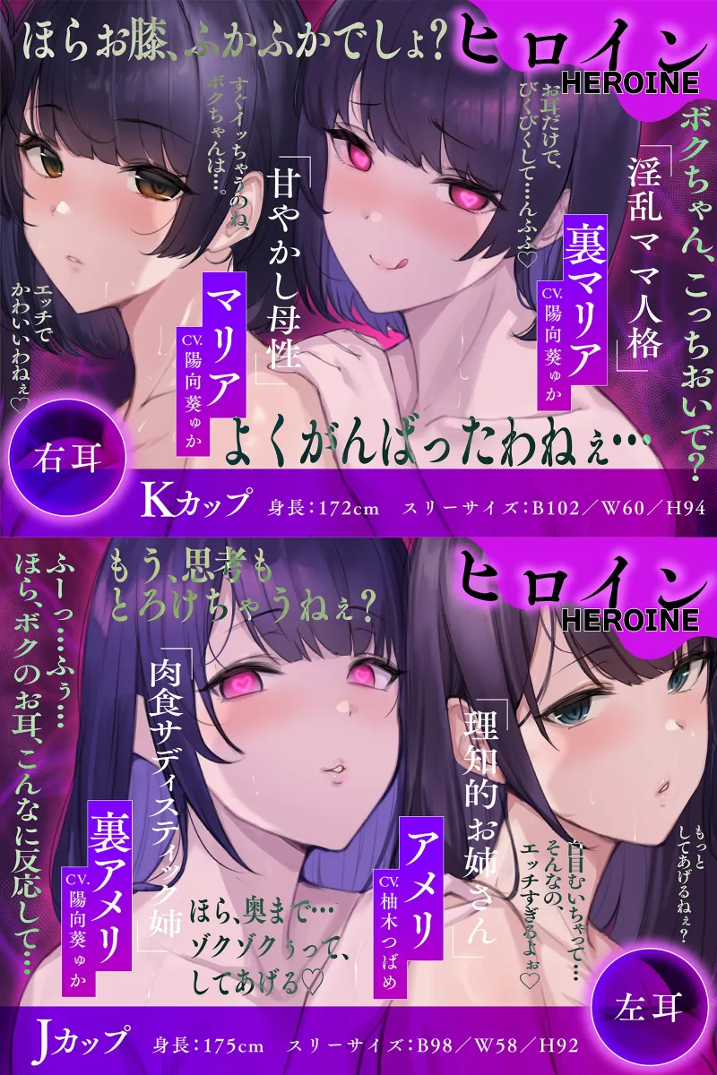本文説明画像