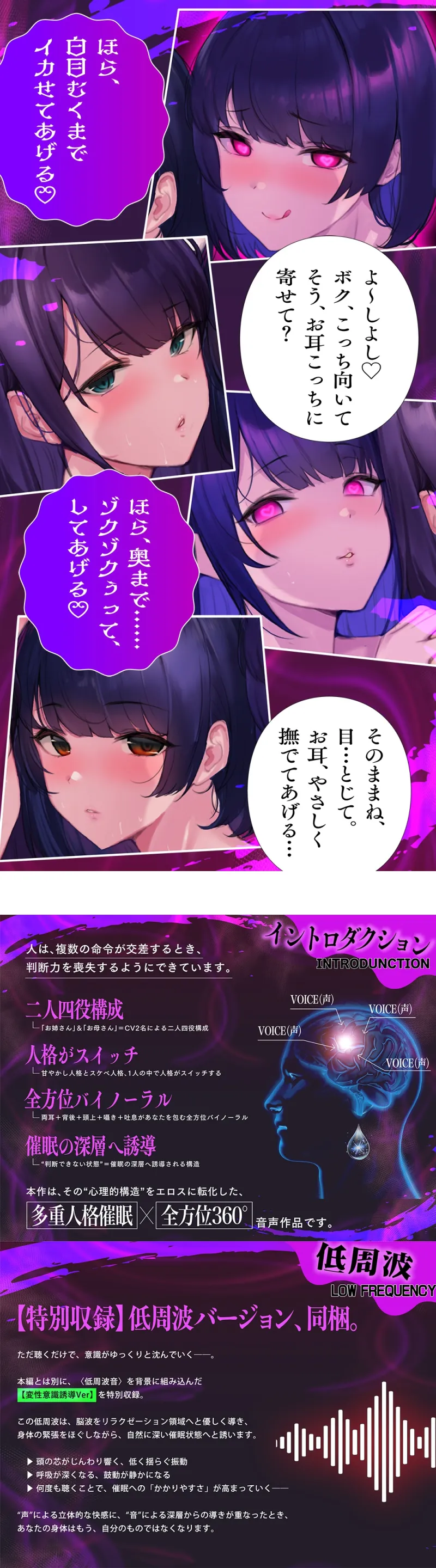 本文説明画像