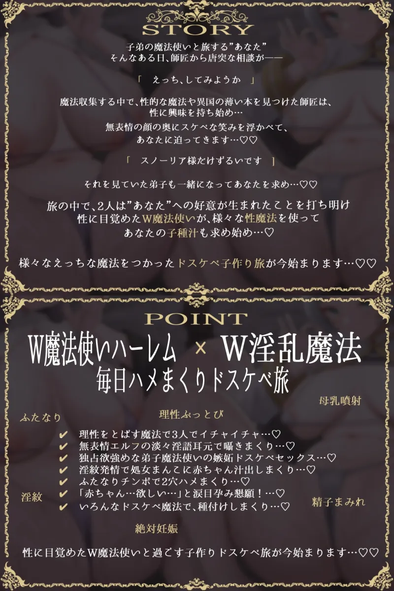 本文説明画像