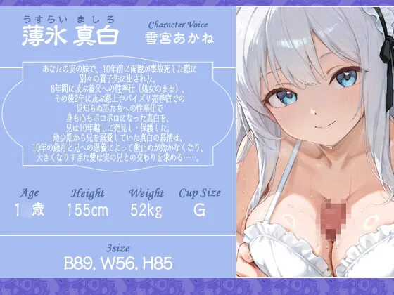 本文説明画像