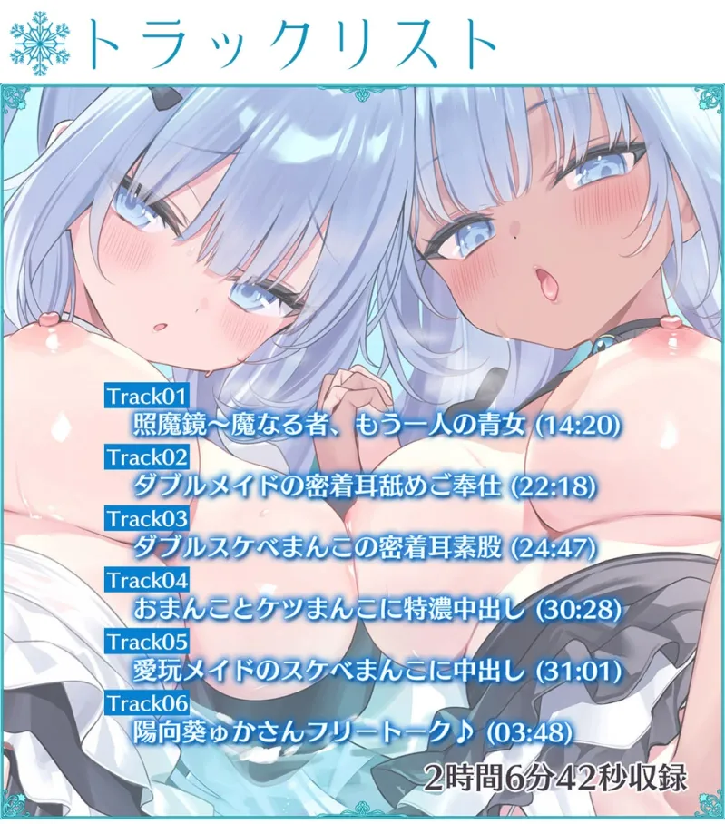 本文説明画像