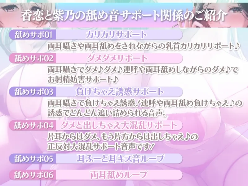 本文説明画像