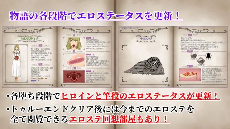 本文説明画像