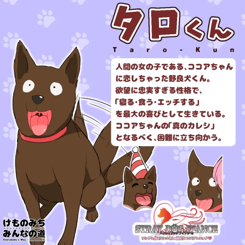 本文説明画像