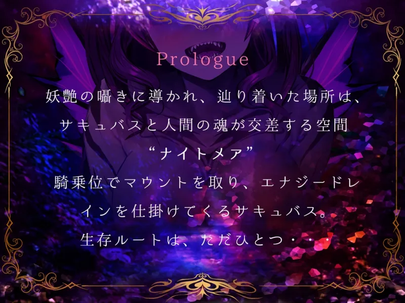 本文説明画像