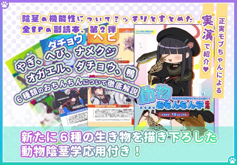 本文説明画像