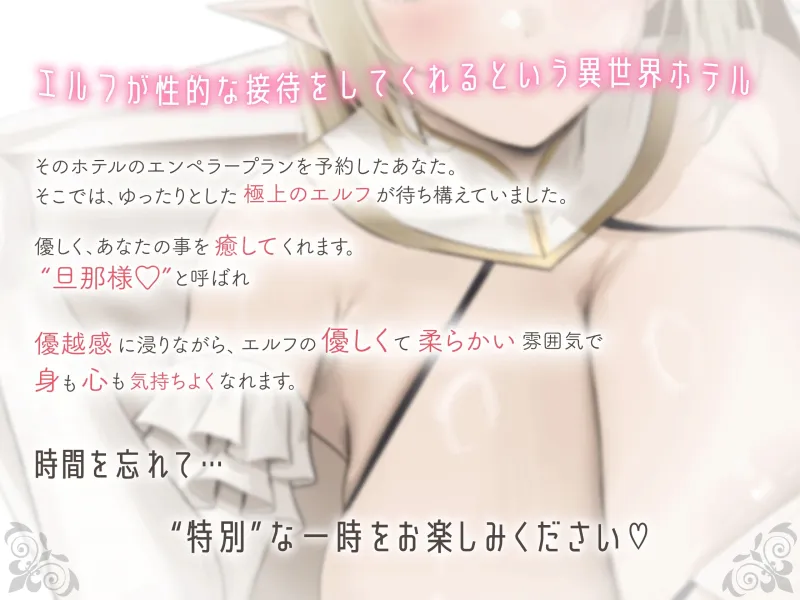 本文説明画像