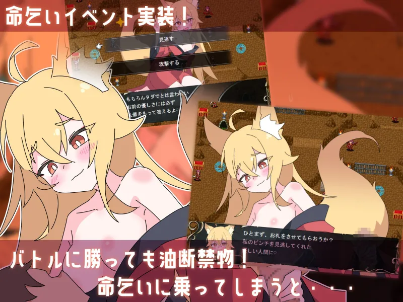 本文説明画像