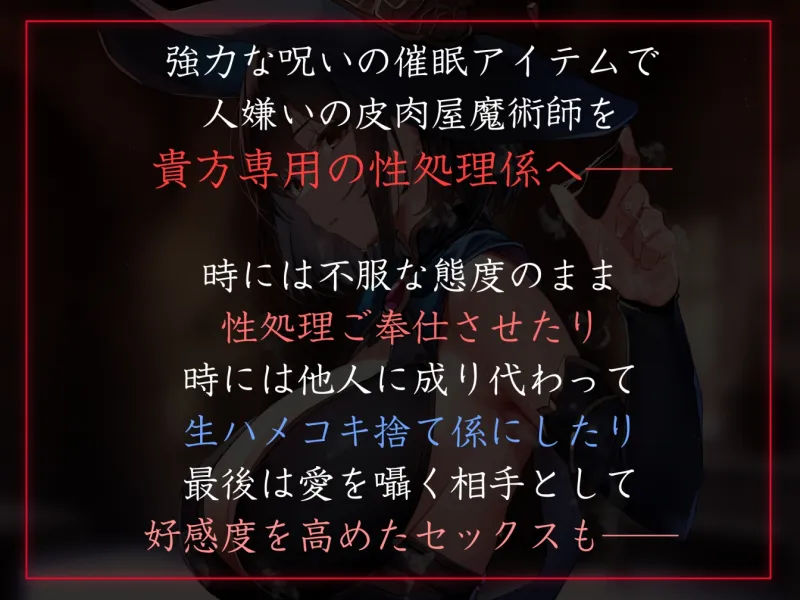 本文説明画像