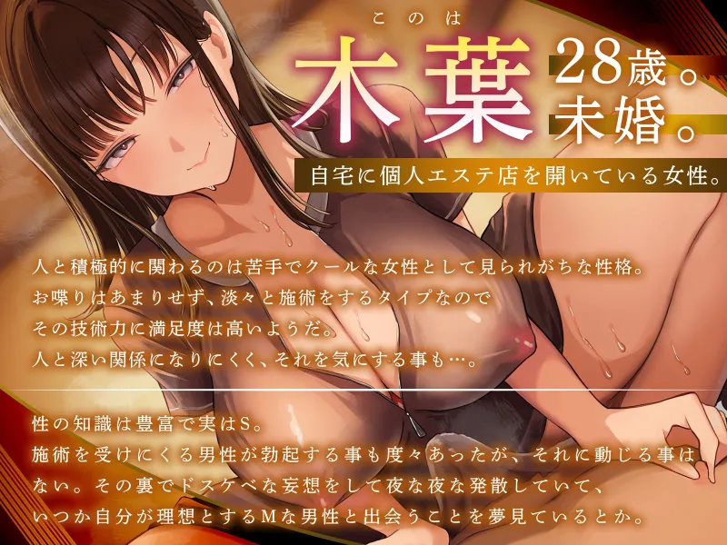 本文説明画像