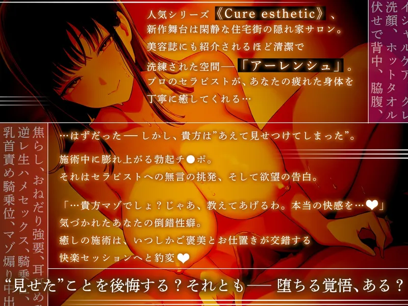 本文説明画像