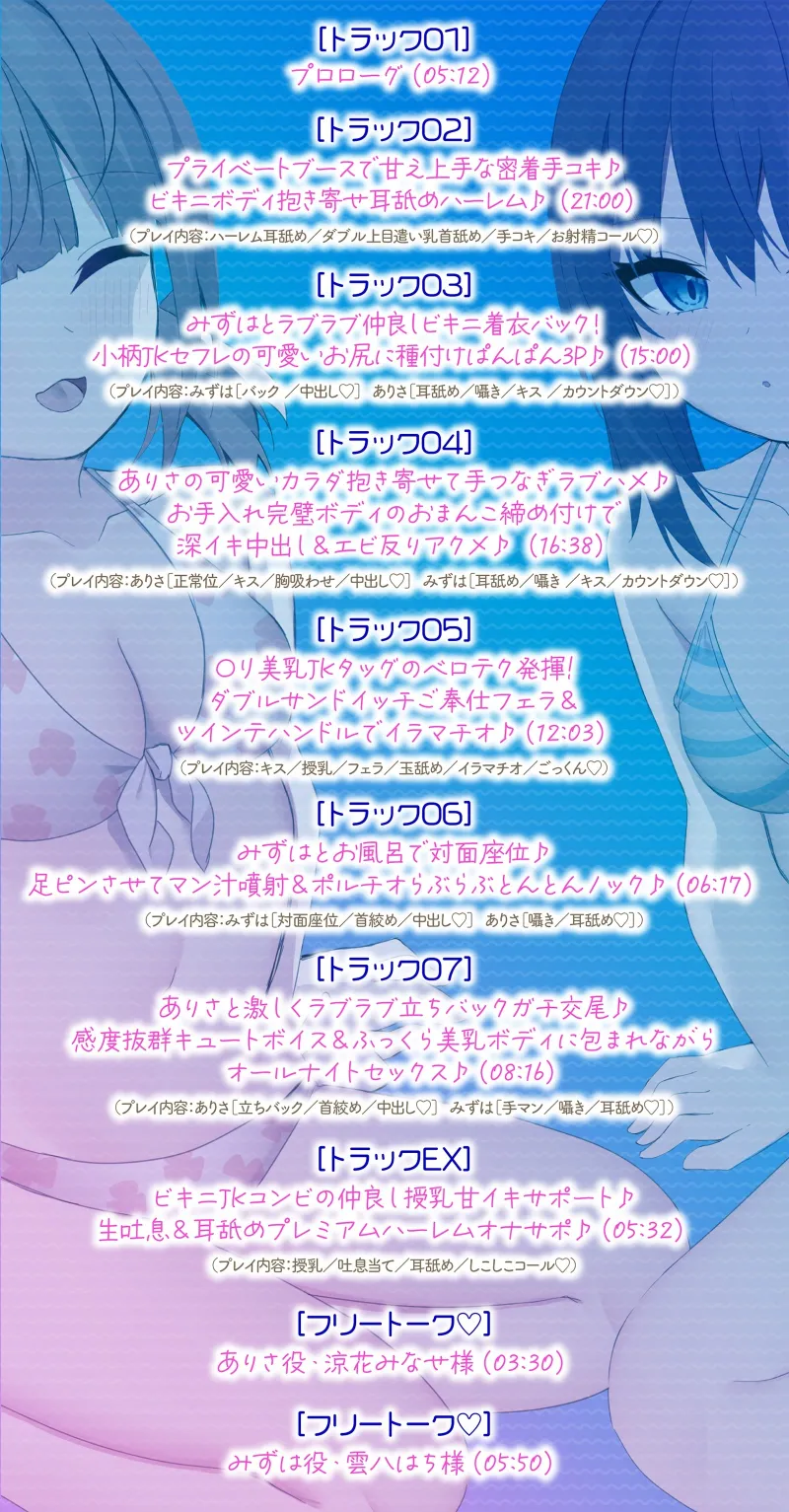 本文説明画像