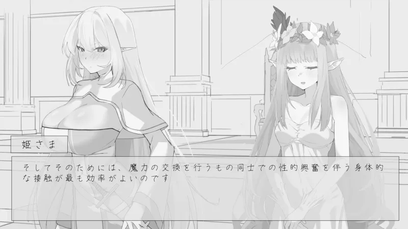 本文説明画像
