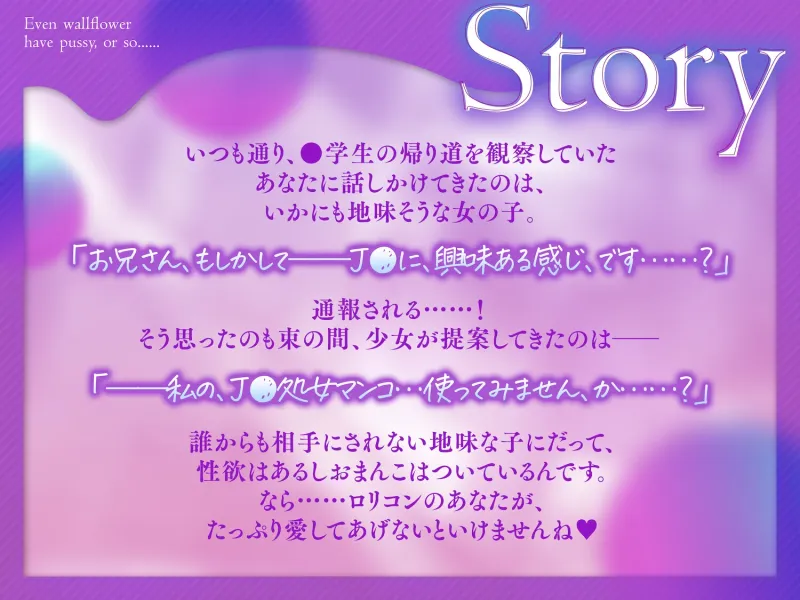 本文説明画像