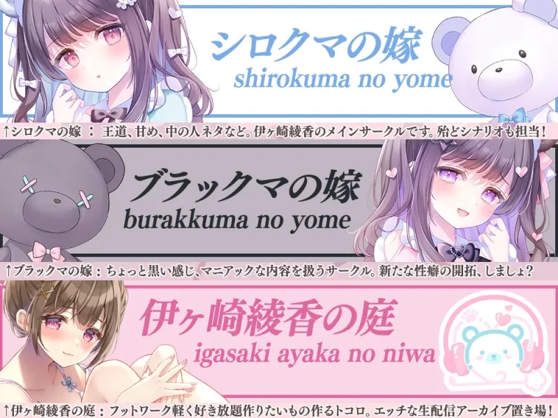 本文説明画像