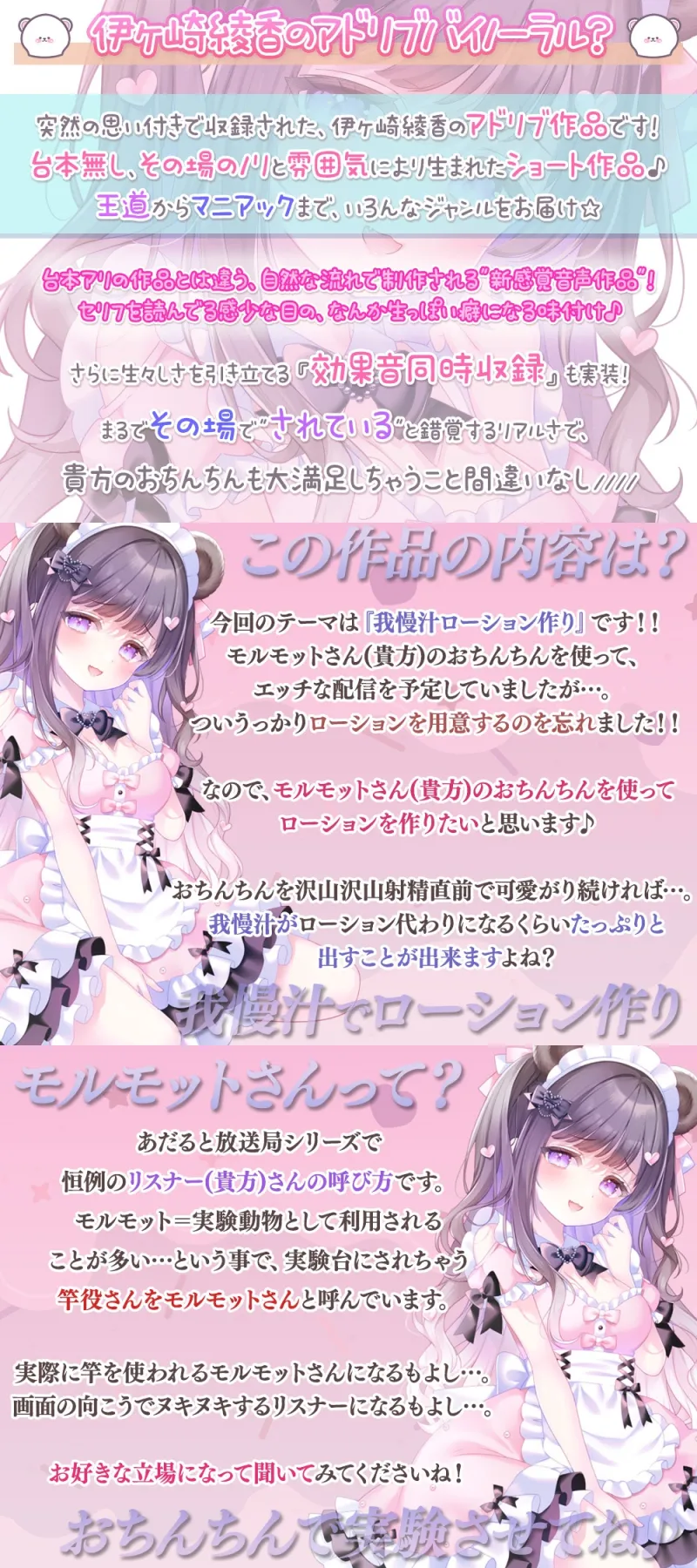 本文説明画像