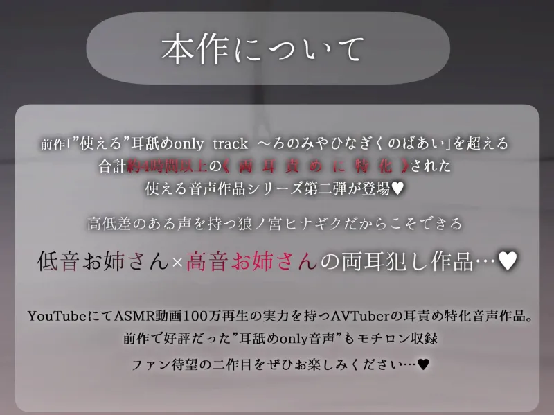 本文説明画像