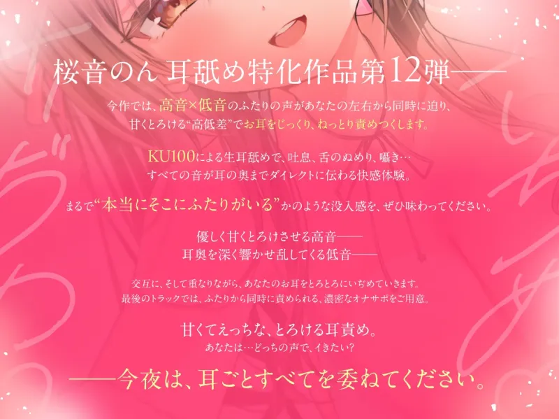 本文説明画像