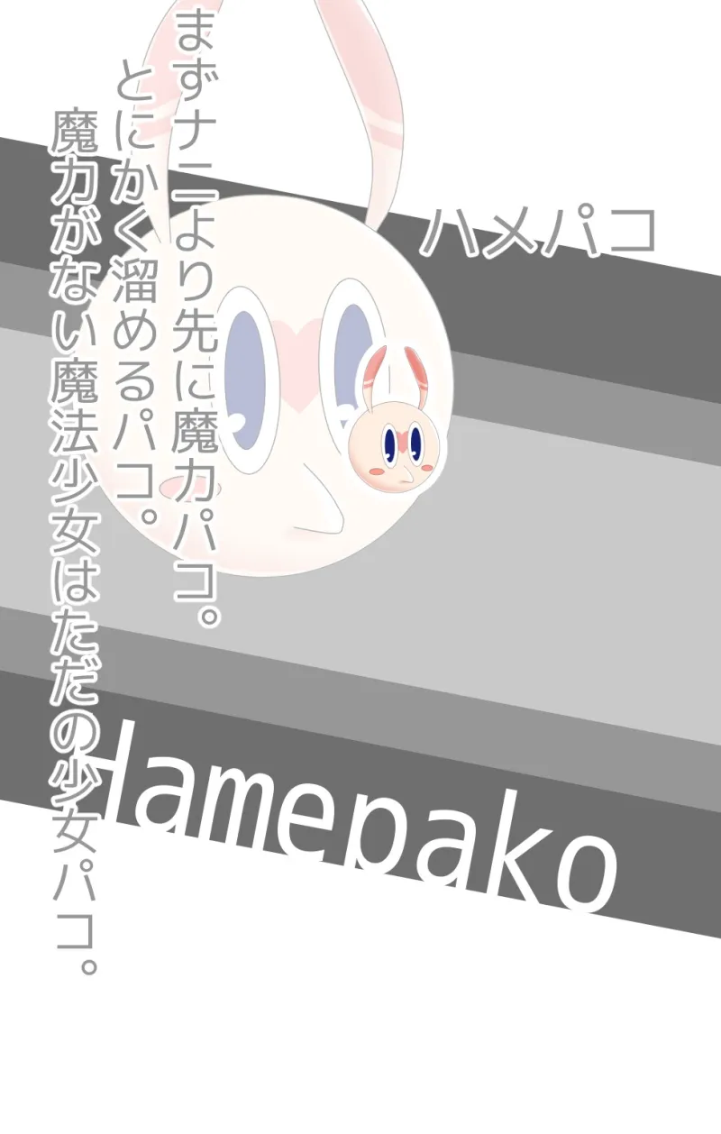 本文説明画像