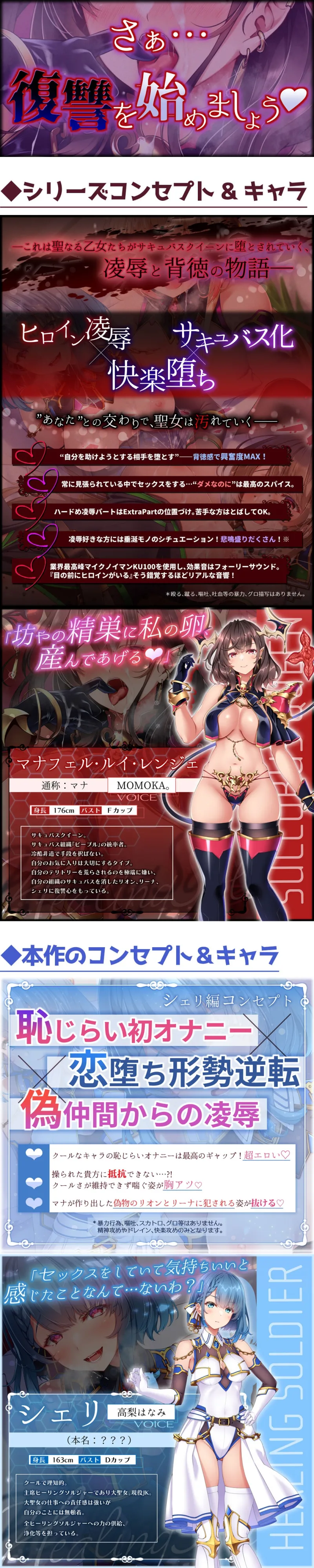 本文説明画像