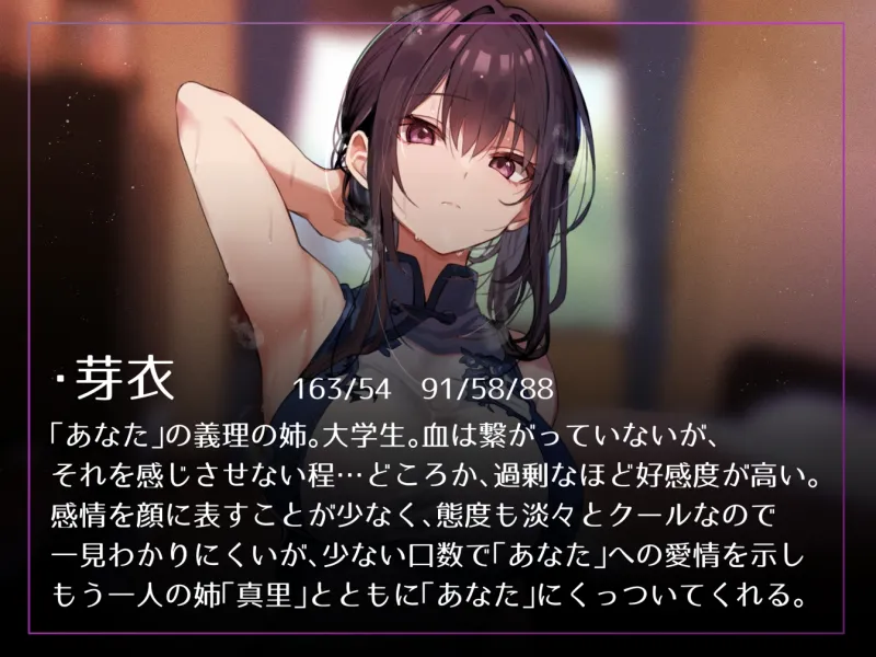 本文説明画像