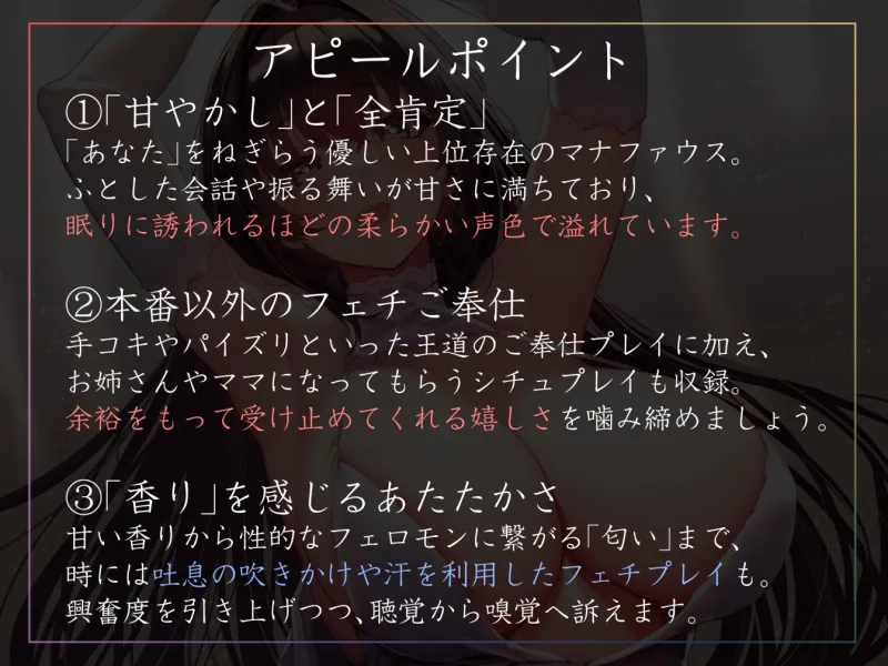 本文説明画像