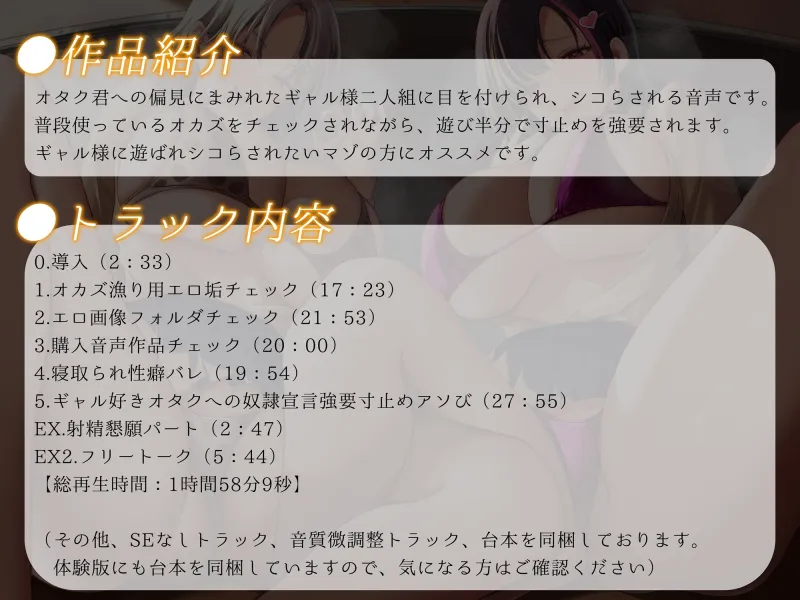 本文説明画像