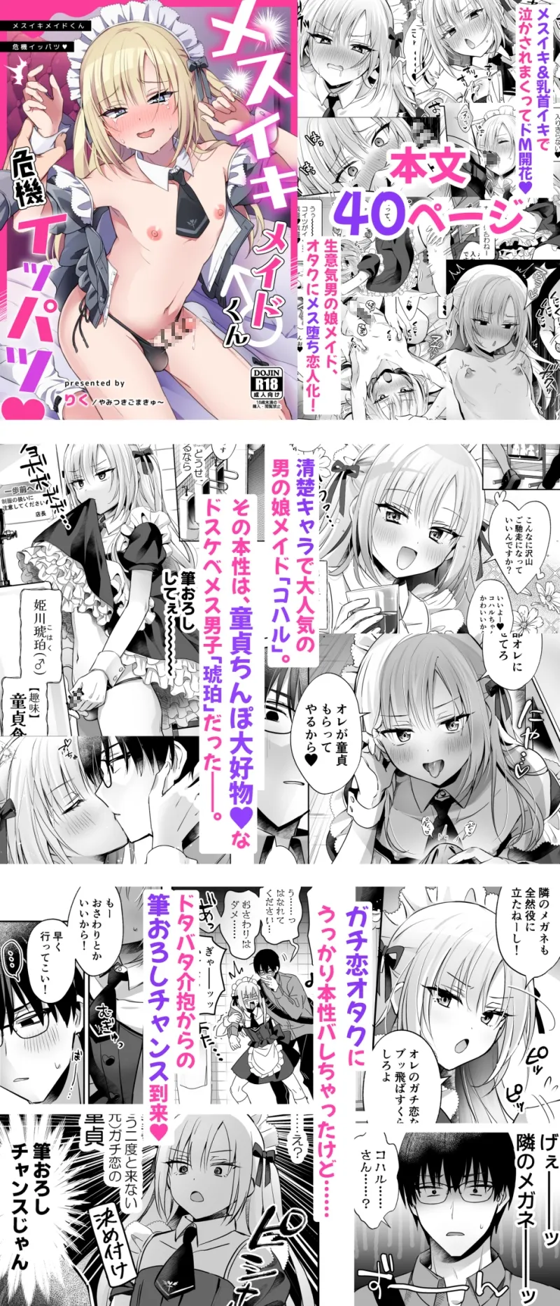 本文説明画像