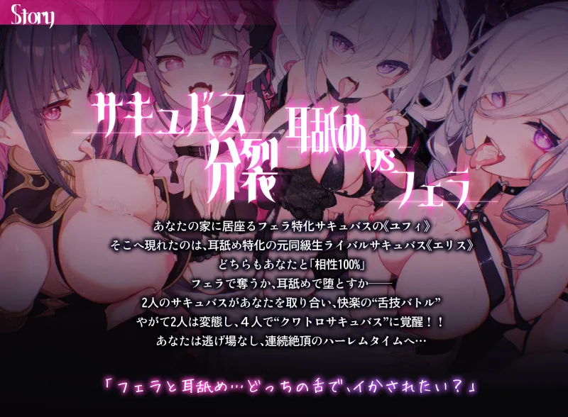 本文説明画像