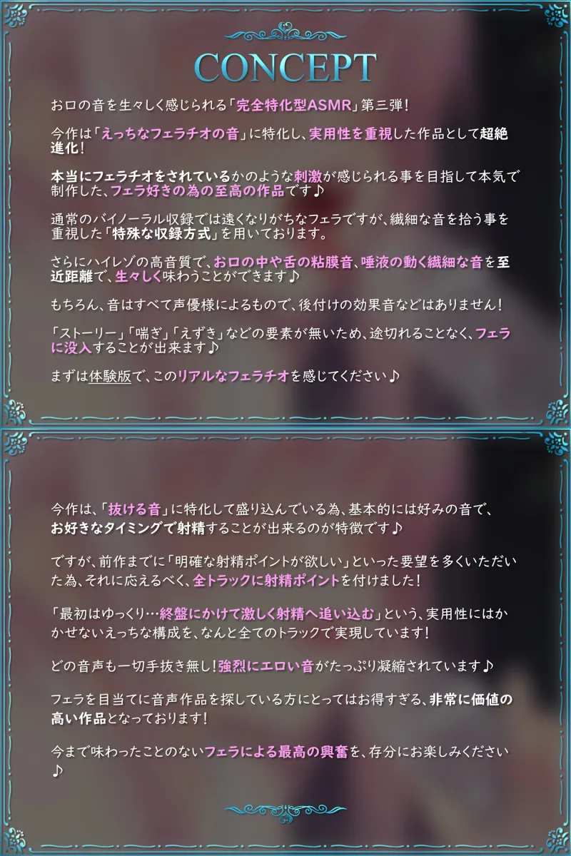 本文説明画像