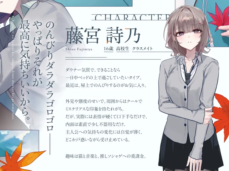本文説明画像