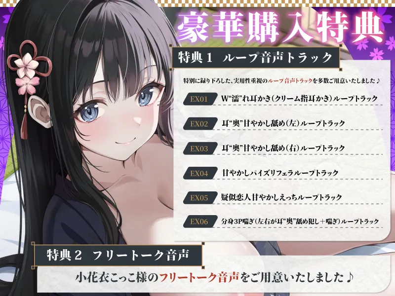 本文説明画像