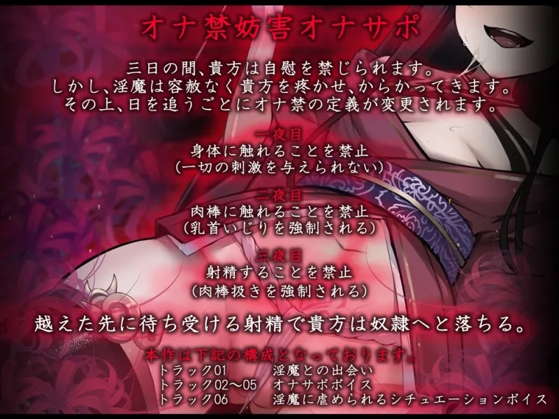 本文説明画像
