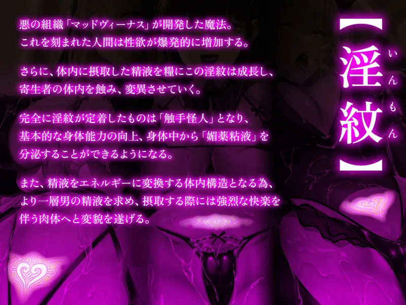 本文説明画像