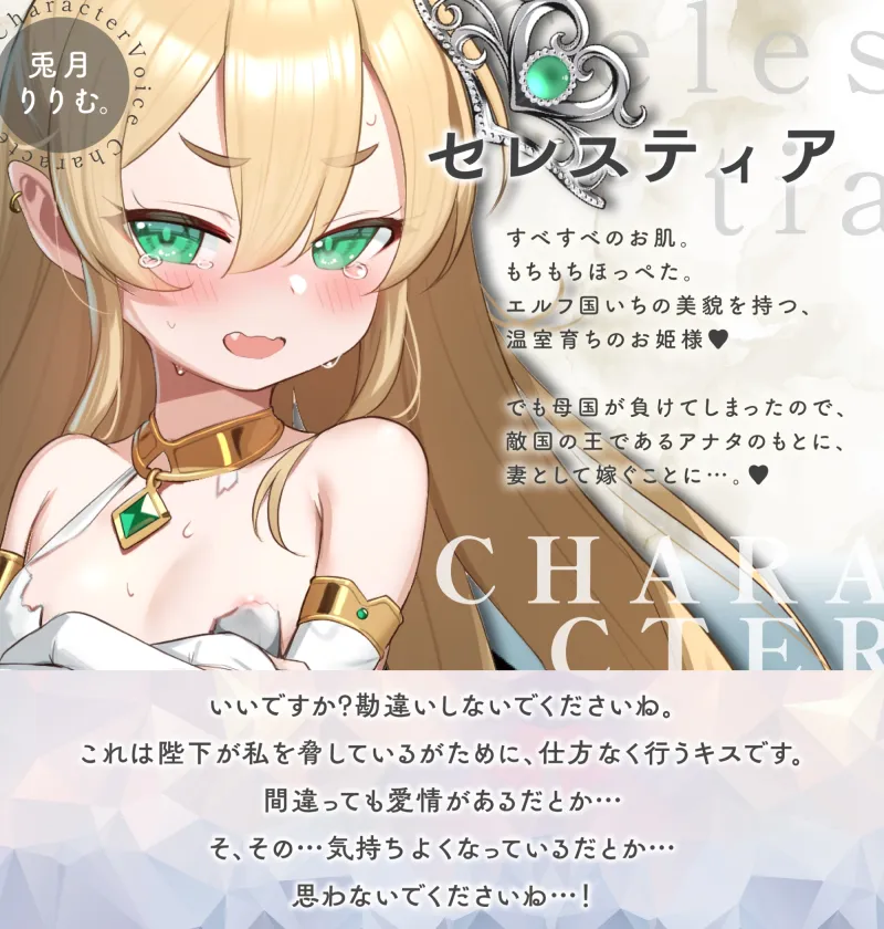 本文説明画像