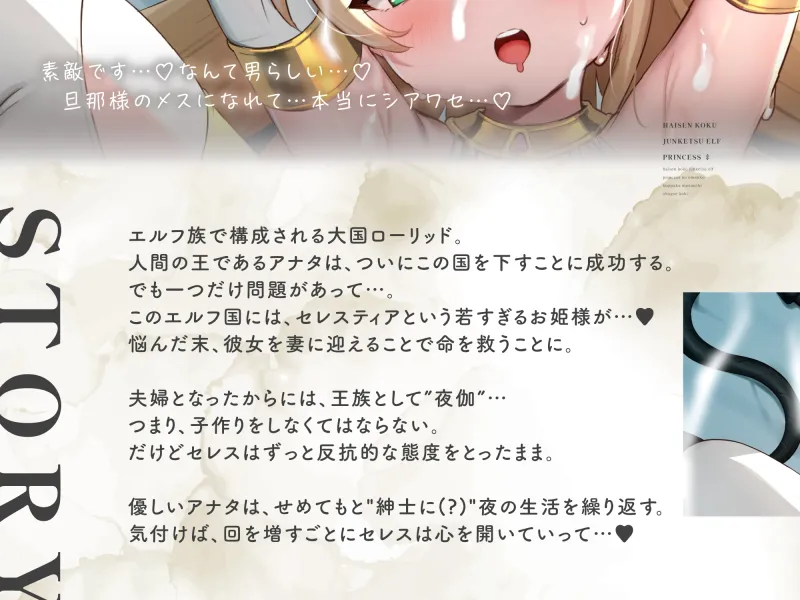 本文説明画像