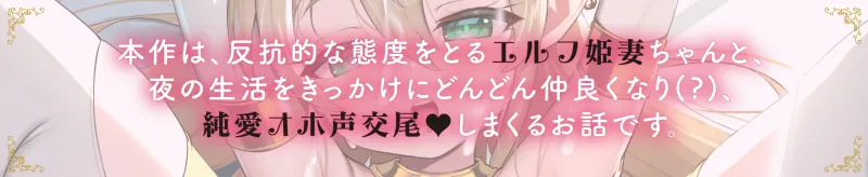 本文説明画像